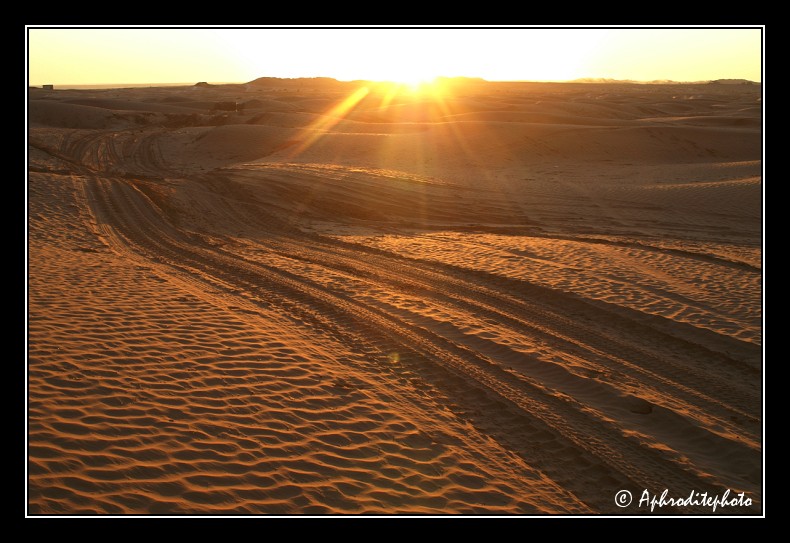 125 Derniers rayons solaires sur les dunes de Ksar Ghilane